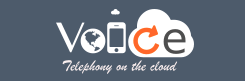 Voicecloud Support